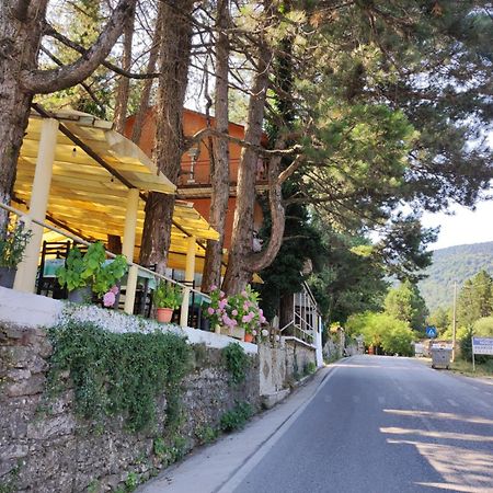 Hotel Toni Llogora Dukat Ngoại thất bức ảnh