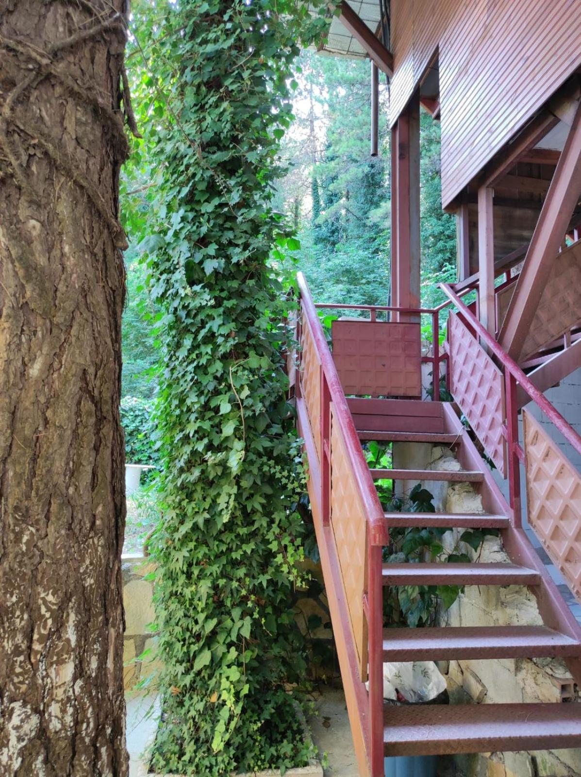 Hotel Toni Llogora Dukat Ngoại thất bức ảnh