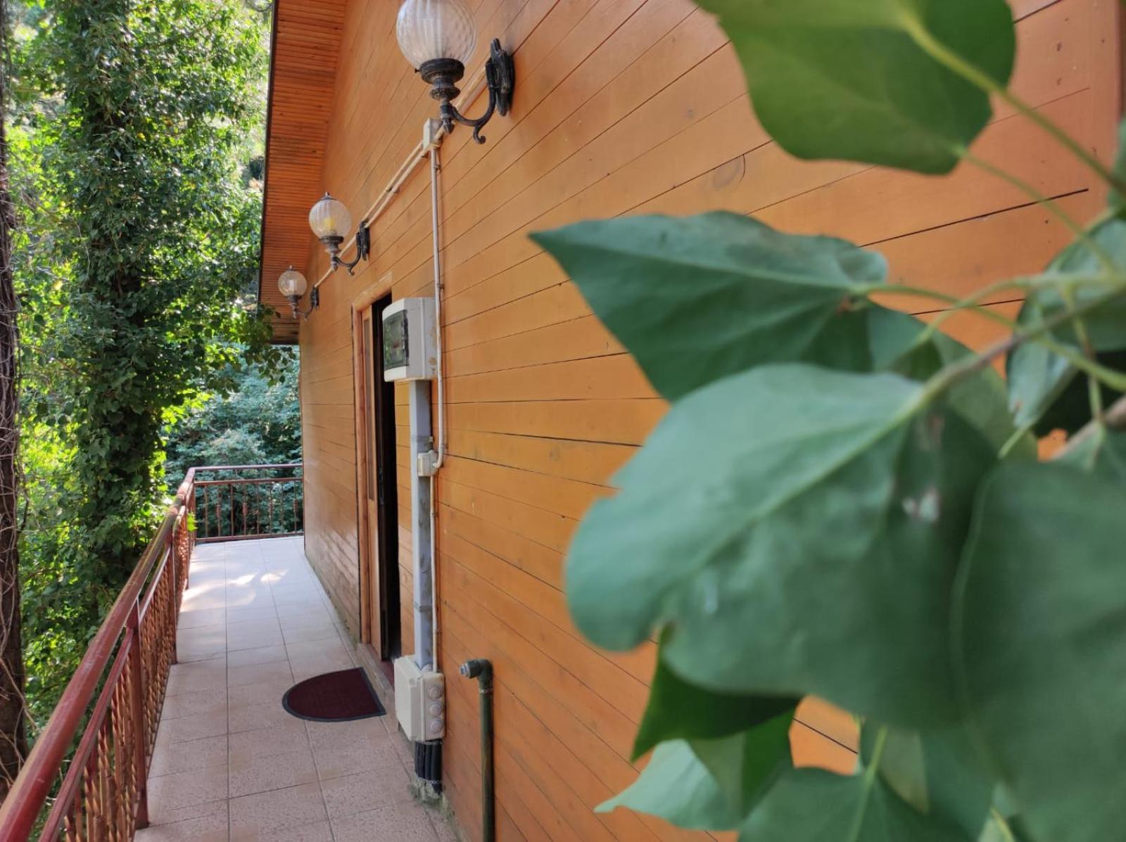 Hotel Toni Llogora Dukat Ngoại thất bức ảnh