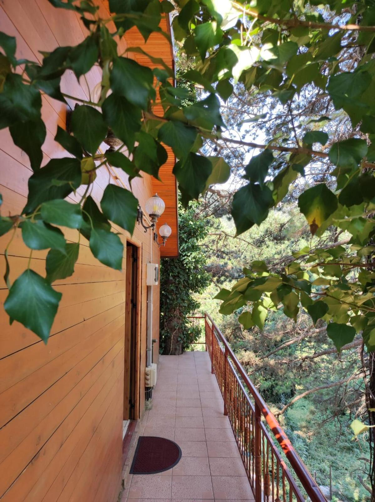 Hotel Toni Llogora Dukat Ngoại thất bức ảnh